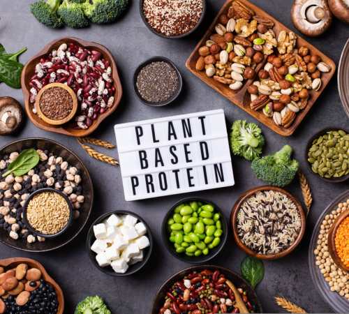 plant based vegan